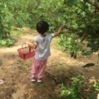 9075bcdf656bdc1a95c806becf48df96e0e3889e