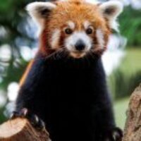 0285386900da3afd7342b3cdf28e3cff5784cc67