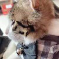 762ef2ffd8cb4e4a88575886ff674d4bf2598d01