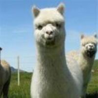 Aa595ee066219b0b8e443c3f721583a6e9b47a00