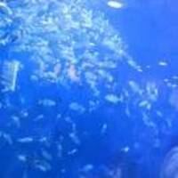 E15f7f167f6a4f039a65321817ca70398d3a5a49