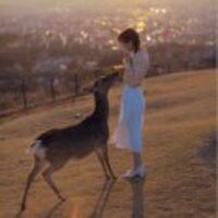 De3fc3c49243dfeec394e6a0dfa679369b524e8a