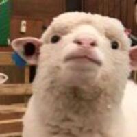 2e2d0c255f4f1cad2daf8f8536cc2a7710b4df2e