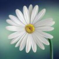 Df1a94511d5baede9c47c187c40a46a7d4be3fb3