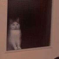 0e7ea9a0499aa02096a4499a07f387a888e813d3