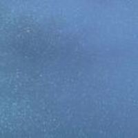 Ef8a741c3fffe8f6a2c8a094fbd81604ed133fd9