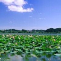 1858158af78c7bbe312915138090de9e6ec0f6b8