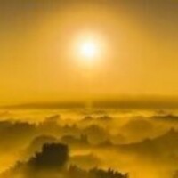 9d4c29ba96b7969389b104ebdb87786ed87c62f4