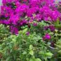 345344731822ddc55792ebe8792155fce366918f