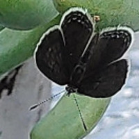 949d38bd5681e4c11b06feab0b2b525f3457c223