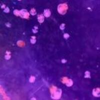 Ab74dd55357c6d7a9b7d47b67af79c122d60417e