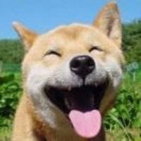 E4738495fa01d2086f7040f91def80ae6409b6fa