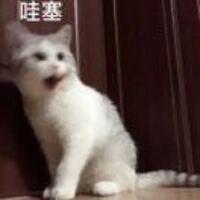 Be45cdc0367417fae77574f8ae7d65a6ae5110d8