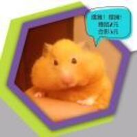 094e937218e32c922c92e886cf1d80cd029cdd38