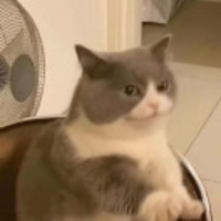 45aaf0b9c173bd9efbed8985c6809a3a4ab21e97