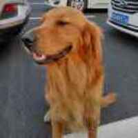 Bda511aac6f4a9270dcdec126a48c30ea6a50424