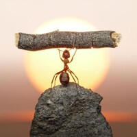 28e8f5bc907ac496d0acb690c966353bda429bdd