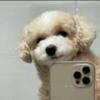 Adb831388f1aec1e3c13a0c55d27bf1010beda82