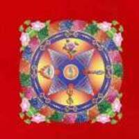 C24ca49e69ff8ff465e3e5bf7acb2116703c4b36