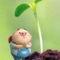 8b2b1c705f6230845ca3c6e55ee80b36d1aec170