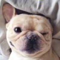 5174579c257d1e3c26d5a40405213bfe9e69bbeb