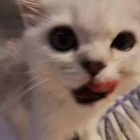 71c35024d007d7fb8bedfdb1d05268d828838441