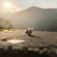 8651ff419364de4cae5c40973f3970a03780c93d