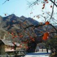 3395c6c530503cbea4185aab68df53b32dd1769c