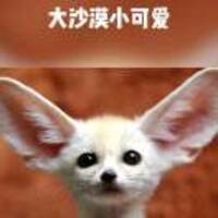 8931ee006b6aeefcc38aa102a305caafb5271eb7