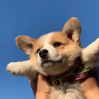 5e4113928905a8fc6c17af624d9b8c331a76ec4b