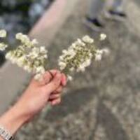 28a0689bbb1d96d7b202f55f611eeeae283421c6