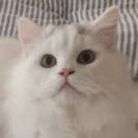 4497bbb5a80b7c0ad96a579dcdce1eb9971ae878