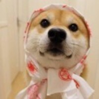 Ca9c749ee8b19f1069a356e42913ebe6868bff0f