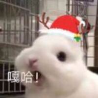 9a88a9341f9ec320dd2e36f107086e65c2be3f5d