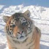 C2c5c1ab468810a9efeba2484da6b91c5b282261