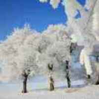 C027dcb093d555722cea982109e130a930a83d20