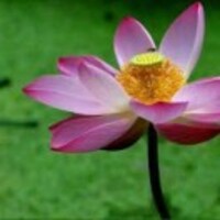 Bc96e15fbf518b234ac3cad8c12df2d9369fe8ce