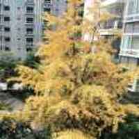 Bb7f95df29673df8b6b17dd10fa27f8f6425f1be