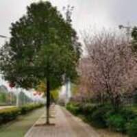 A1e58e1d2c17a6ffd09588763363959ff8d62542