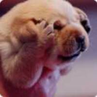 Ba1e4fa216fa8140811811a3207abae460340b47