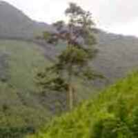 Ce44c9d0a6989d1d8c9180436e8269e0b40b789d