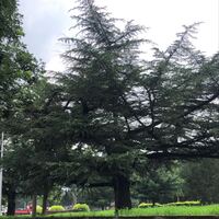 9f9220fddba534958f1387faac369e96f30f6d33