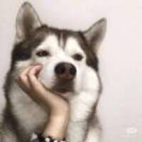 0d23fbb8d999b2bb08c243711bc388ee63b23792