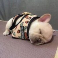 D8796110bb8e98807aa18f9e9aea6f3ece5aa5ec