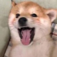 E8cd0b2f110620c655cc325851a9815c5a799892