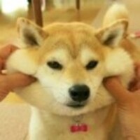 96d41f060d68a5cf4e8943ff72b90d0181098013