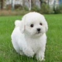 6749eaf3f21f537d934f7b8fa67708d0b2f273b0