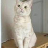 202772a76be2d8225f6b6c27c3aee5d17b079cf6