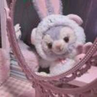 466d1369a973b690ddea2520811165dcb16942fa