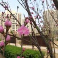 1745843b3a02c26aa87b1fbb9d1bbe5334911ee6